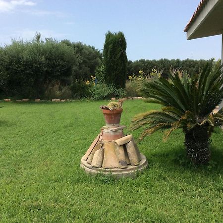 Relais Le Folaghe Bed & Breakfast Ladispoli Luaran gambar